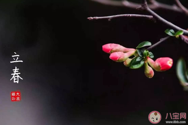 2021立春創意文案怎么寫 立春節氣特色文案示例分享