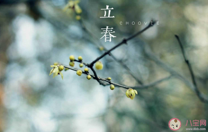 2021立春創意文案怎么寫 立春節氣特色文案示例分享