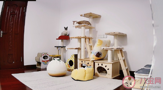 快回家過年的激動人心的句子 忙碌一年回家過年感慨說說