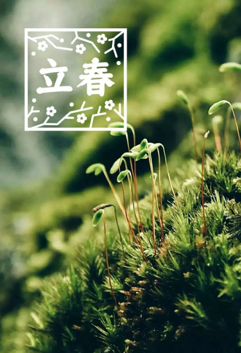 立春各品牌借勢海報文案創意 立春文案句子