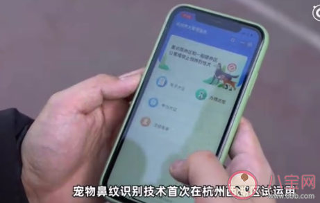 寵物鼻紋身份證是什么 杭州寵物鼻紋身份證如何使用