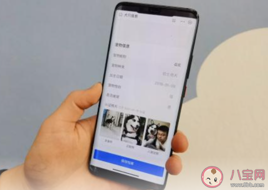 杭州寵物鼻紋身份證如何辦理 動物的鼻紋有什么特殊之處