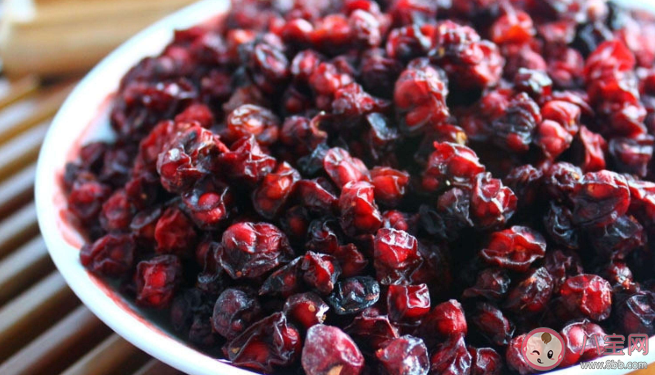 五味子是熱性還是涼性的 體寒的人可以食用五味子嗎