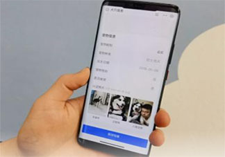 杭州寵物鼻紋身份證如何辦理 動物的鼻紋有什么特殊之處