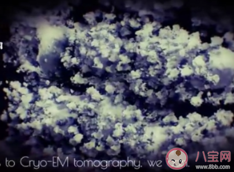 新冠病毒的首個3D圖像是怎樣的 新冠病毒究竟長什么樣子