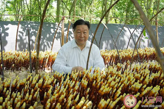 《山海情》每個人物都有原型嗎 《山海情》各人物原型是誰