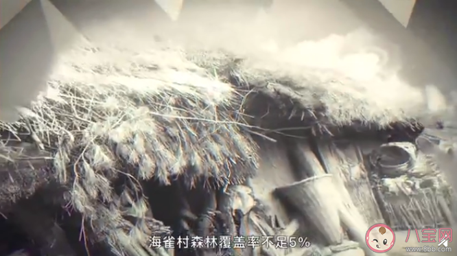 現(xiàn)實(shí)版山海情是怎樣的 《山海情》中的閩寧村真實(shí)存在嗎