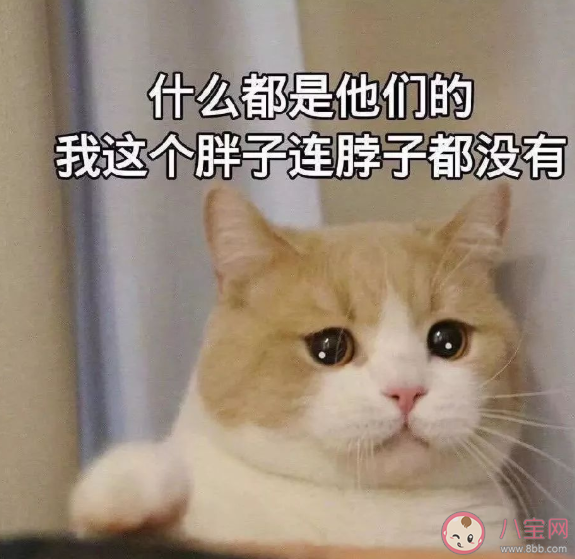 讓人扎心的一句話簡短句子 句句扎心的文案說說大全