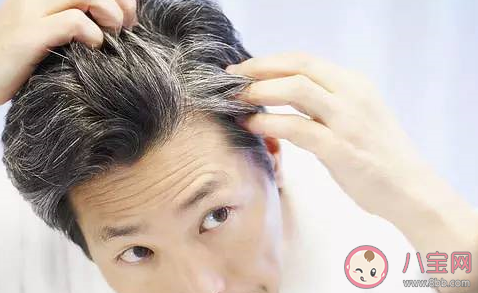 白頭發(fā)越拔越多是真的嗎 有白頭發(fā)拔了有什么害處