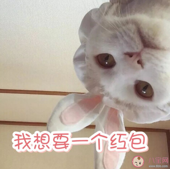 適合過年期間發的沙雕搞笑朋友圈文案 和過年有關的搞笑幽默句子