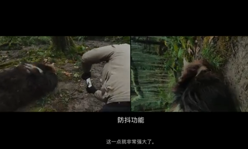 2021蘋果短片《阿年》講的是什么 《阿年》是如何拍攝的 2021蘋果短片《阿年》講的是什么 《阿年》是如何拍攝的