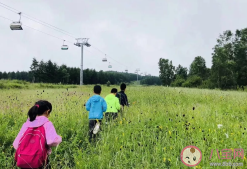 快樂教育真的比應(yīng)試教育好嗎 什么是真正的應(yīng)試教育