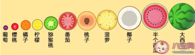 合成小芝麻合成順序是怎樣的 合成小芝麻合的玩法訣竅 合成小芝麻合成順序是怎樣的 合成小芝麻合的玩法訣竅