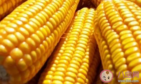 女性多吃什么食物可以促進性胸部發育 常見的豐胸食物推薦 女性多吃什么食物可以促進性胸部發育 常見的豐胸食物推薦