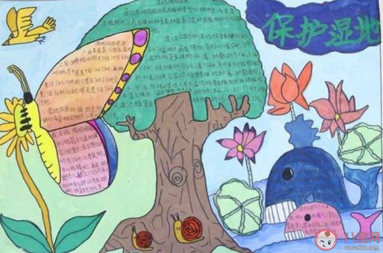 2021世界濕地日手抄報圖片內(nèi)容 2021世界濕地日手抄報文字素材