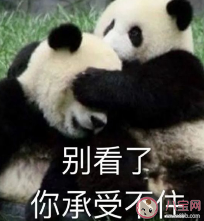 山上的筍都被你奪完了什么意思 筍都被你奪完了什么梗