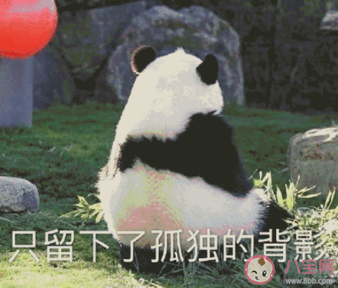 網(wǎng)絡(luò)乞丐四件套是什么梗 網(wǎng)絡(luò)乞丐四件套是什么意思 網(wǎng)絡(luò)乞丐四件套是什么梗 網(wǎng)絡(luò)乞丐四件套是什么意思