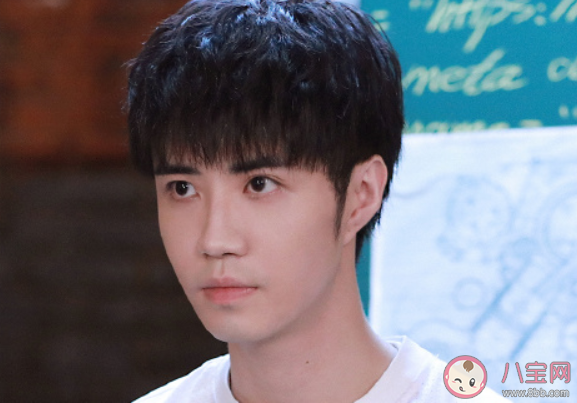 《我的時代你的時代》各人物大結局是什么 吳白艾情結局在一起了嗎