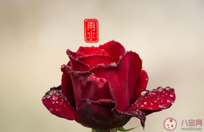 2021雨水節(jié)氣后養(yǎng)生吃什么菜 2021雨水之后如何養(yǎng)生