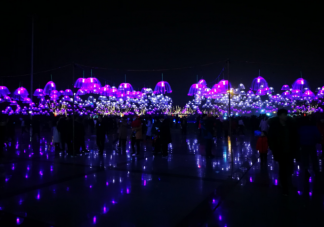 2021武漢春節有哪些精彩活動 武漢春節部分景點營業調整注意事項