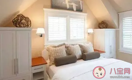 螞蟻莊園:螨蟲滋生最多的地方是哪里 2月8日答案