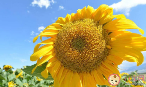 自我感動是怎樣一種體驗 自我感動的經歷故事