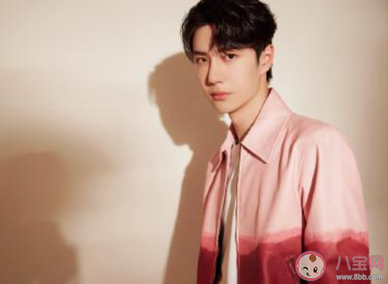 王一博成立公司是真的嗎 王一博的公司名字叫什么