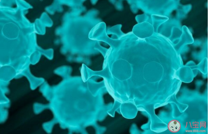 新冠肺炎可能成為長期流行的傳染病是真的嗎 新冠病毒會消失嗎