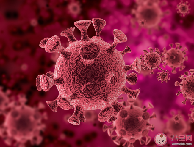 新冠肺炎可能成為長期流行的傳染病是真的嗎 新冠病毒會消失嗎