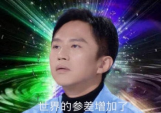 世界的參差是什么梗什么意思 世界的參差出自哪里