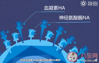 全球首次發現人感染H5N8型禽流感病毒是怎么回事 H5N8型禽流感病毒有什么危害 全球首次發現人感染H5N8型禽流感病毒是怎么回事 H5N8型禽流感病毒有什么危害