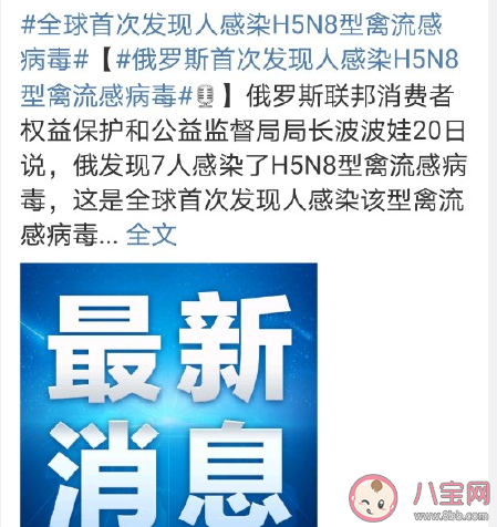 全球首次發現人感染H5N8型禽流感病毒是怎么回事 H5N8型禽流感病毒有什么危害 全球首次發現人感染H5N8型禽流感病毒是怎么回事 H5N8型禽流感病毒有什么危害