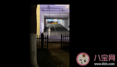 海底撈練習生是什么意思 海底撈練習生是什么梗