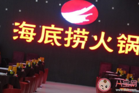 海底撈練習生是什么意思 海底撈練習生是什么梗