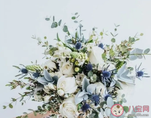 2021三月了早安心語文藝說說 三月請對我好點發朋友圈句子 2021三月了早安心語文藝說說 三月請對我好點發朋友圈句子