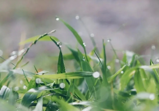 春季養(yǎng)肝的養(yǎng)生知識是什么原理 春季吃什么食物對肝好