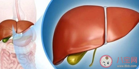 肝癌有哪些早期癥狀和前兆 肝癌如何預(yù)防