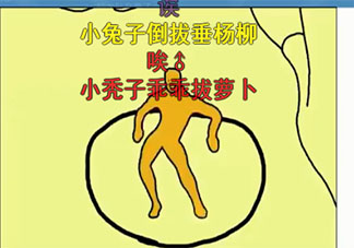 橙色正義舞蹈是什么梗 橙色正義梗的出處是什么