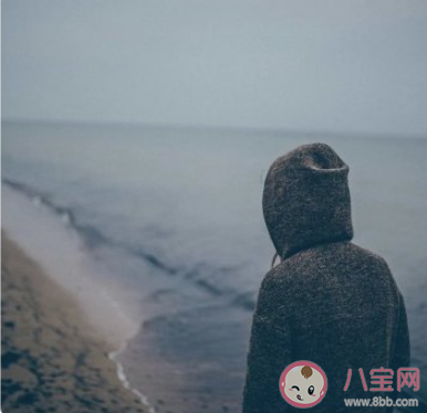 她站在地球的另一邊看月亮是什么歌 《TA》完整版歌詞在線聽歌