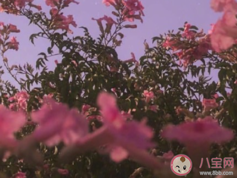 女孩在戀愛中容易出現(xiàn)哪些問(wèn)題 如何避免戀愛腦