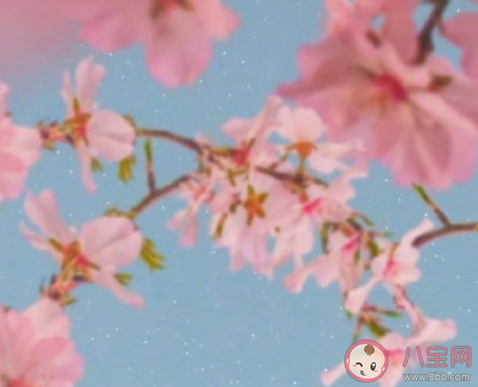 女孩在戀愛中容易出現(xiàn)哪些問(wèn)題 如何避免戀愛腦