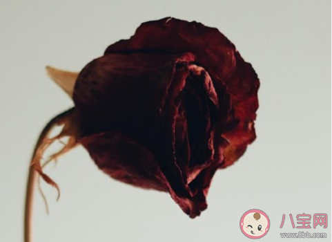 該不該讓女兒為愛遷徒遠嫁他鄉(xiāng) 父母不愿意女兒遠嫁的原因是什么