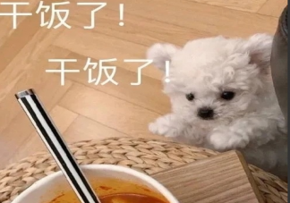 周末心情放松的感言句子 周末愜意的心情感慨大全