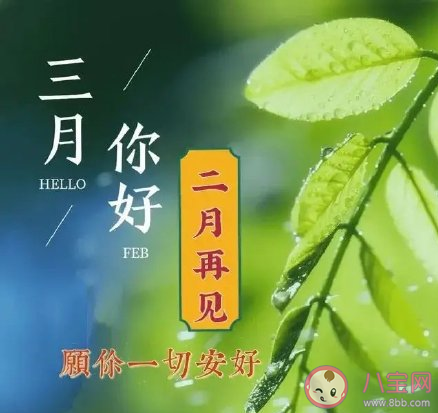 2021二月再見三月你好溫暖勵志朋友圈文案 二月再見三月你好圖片帶字說說 2021二月再見三月你好溫暖勵志朋友圈文案 二月再見三月你好圖片帶字說說