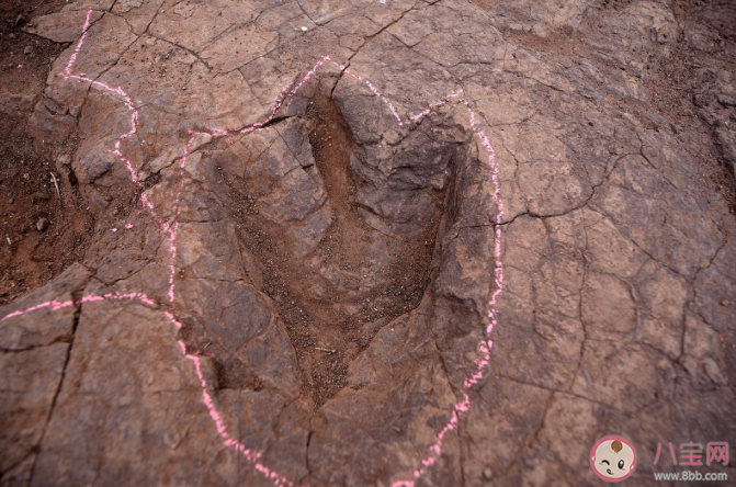 找到神奇恐龍一共分幾步 恐龍足跡是怎么形成的