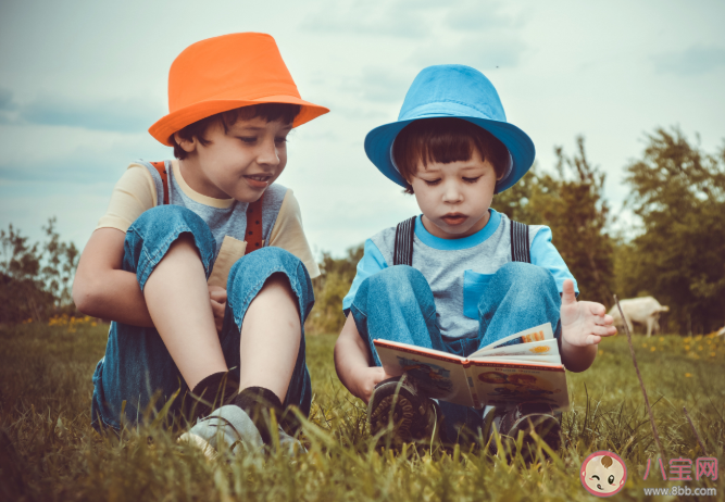 出生順序真的會影響孩子智商嗎 二胎家庭中為什么老二看著更精明 出生順序真的會影響孩子智商嗎 二胎家庭中為什么老二看著更精明
