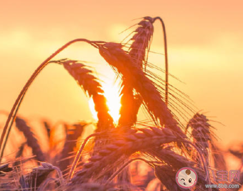 年輕人要不要找穩(wěn)定工作 年輕人要不要出去闖一闖 年輕人要不要找穩(wěn)定工作 年輕人要不要出去闖一闖
