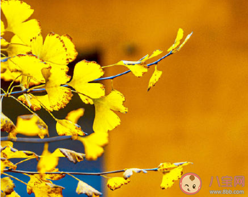 年輕人要不要找穩(wěn)定工作 年輕人要不要出去闖一闖 年輕人要不要找穩(wěn)定工作 年輕人要不要出去闖一闖