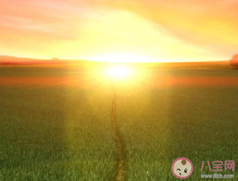 年輕人要不要找穩(wěn)定工作 年輕人要不要出去闖一闖 年輕人要不要找穩(wěn)定工作 年輕人要不要出去闖一闖