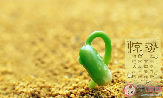 驚蟄節氣吃什么食物養生 驚蟄養生食譜推薦